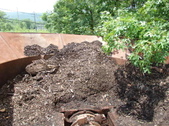 Enlarge photo 31