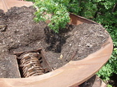 Enlarge photo 33