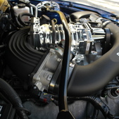Enlarge photo 39
