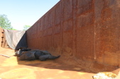 Enlarge photo 81