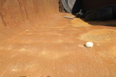 Enlarge photo 82