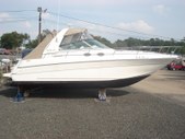 310 Sea Ray Sundancer