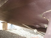 Enlarge photo 51