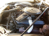 Enlarge photo 44