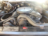Enlarge photo 45