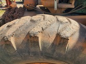 Enlarge photo 17