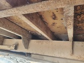 Enlarge photo 30