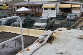 Enlarge photo 37
