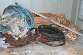 Enlarge photo 51