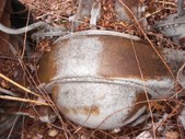 Enlarge photo 31