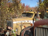 Enlarge photo 73