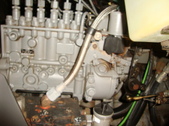 Enlarge photo 35
