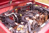 Enlarge photo 169