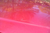 Enlarge photo 152
