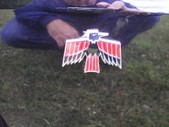 Enlarge photo 61