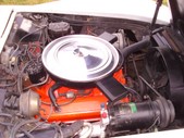 Enlarge photo 97