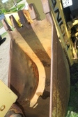 Enlarge photo 41
