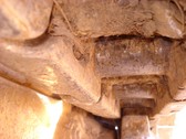 Enlarge photo 34