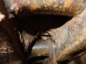 Enlarge photo 23
