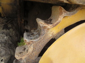 Enlarge photo 9