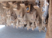 Enlarge photo 12