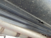 Enlarge photo 16