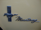 Enlarge photo 40