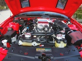 Enlarge photo 97