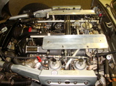 Enlarge photo 60