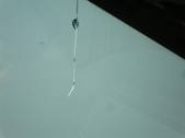 Enlarge photo 66