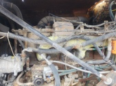 Enlarge photo 39