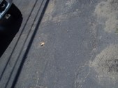 Enlarge photo 71