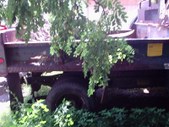 Enlarge photo 95