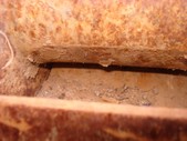 Enlarge photo 249