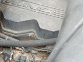 Enlarge photo 35