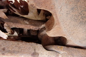 Enlarge photo 27