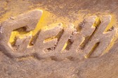 Enlarge photo 206