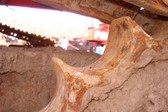 Enlarge photo 136