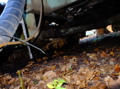 Enlarge photo 29