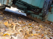 Enlarge photo 35