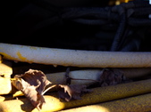 Enlarge photo 19