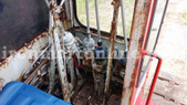 Enlarge photo 69