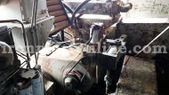 Enlarge photo 71