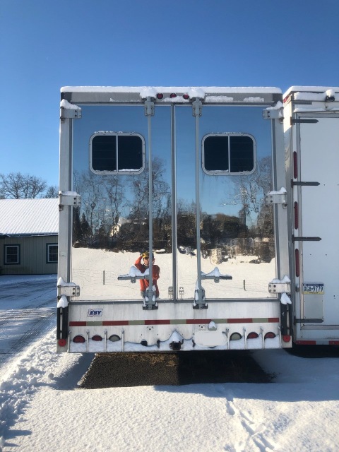 horse trailer with living quarters | horse van | 7 horse hauler eby van