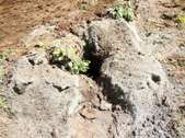 Enlarge photo 39