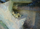 Enlarge photo 12