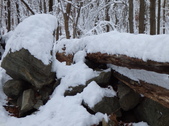Enlarge photo 22