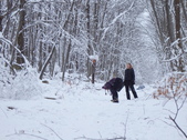 Enlarge photo 36