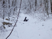 Enlarge photo 37