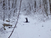 Enlarge photo 38